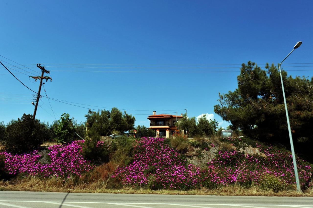 Captain'S Villa Appartments Psakoudia Exteriér fotografie